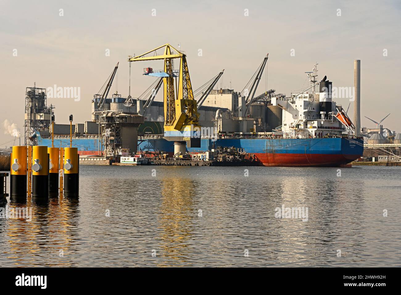 port of amsterdam  / netherlands - 2022-03-02: bulkcarrier maro k  (imo # 9425904 / 58117 dwt) discharging bulk cargo at mercuriushaven  --  [credit: Stock Photo