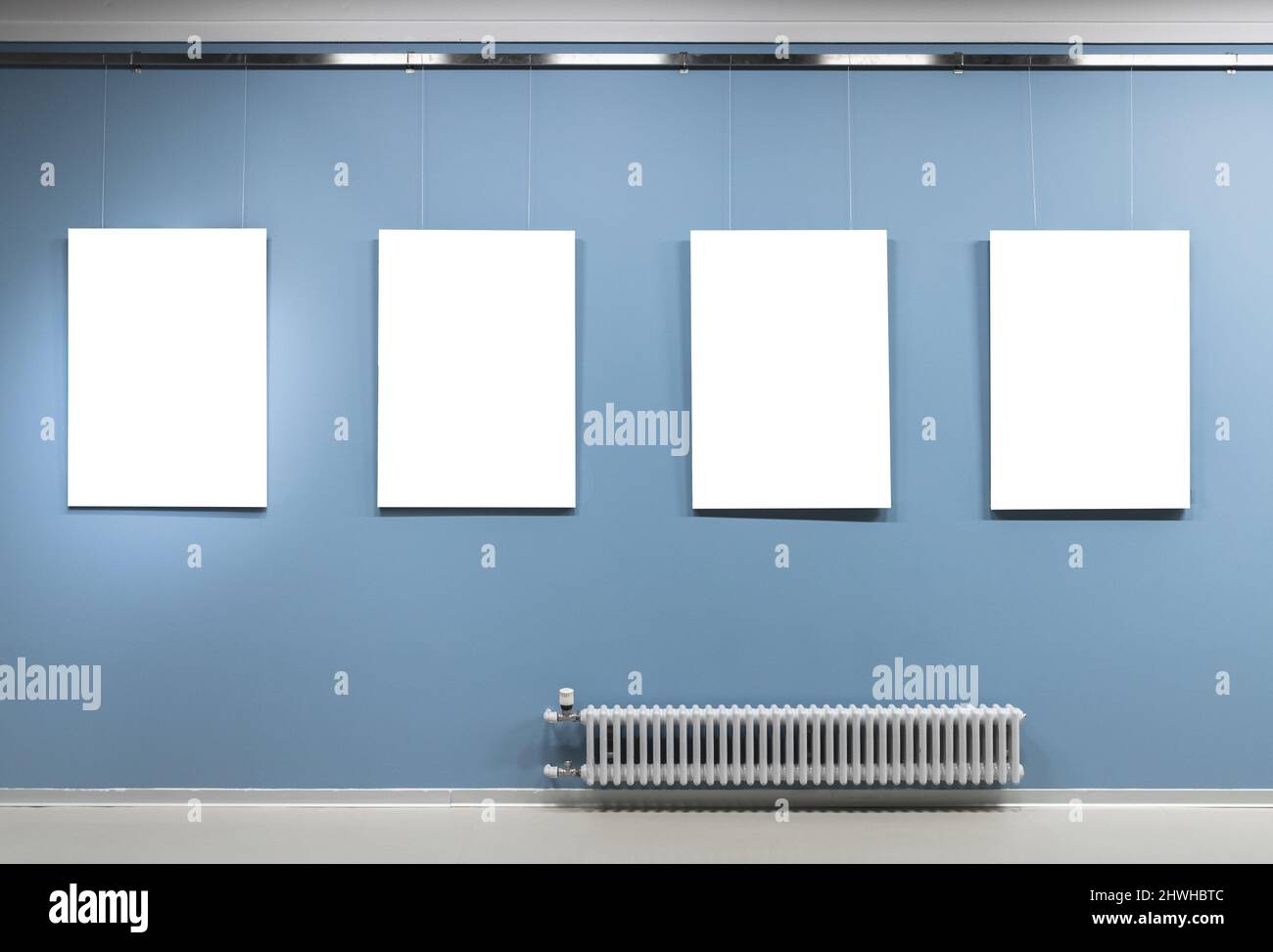 Four blank white vertical posters hang on blue wall in an exhibition hall. Empty interior, front view, background photo Stock Photo