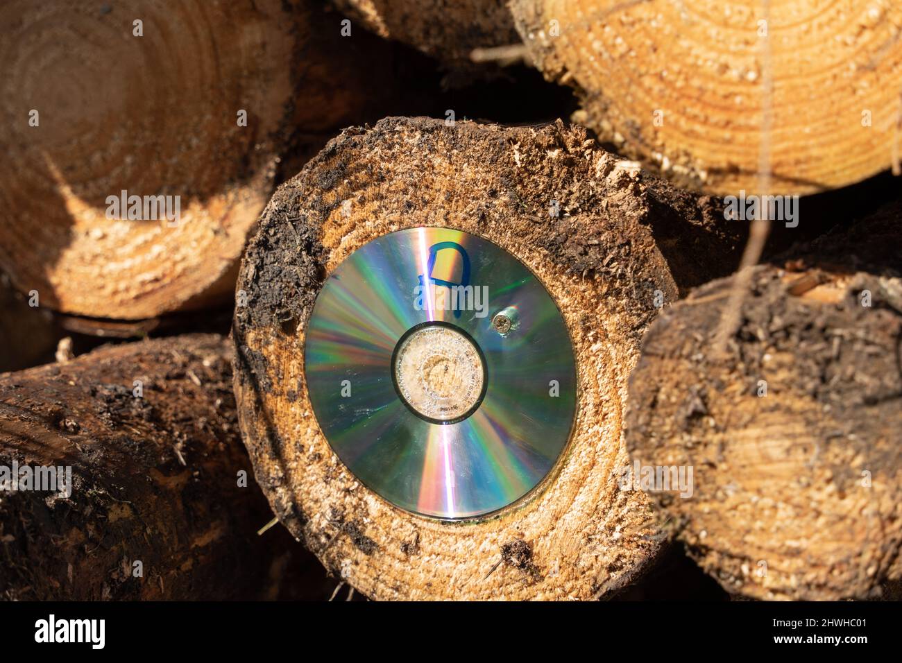 Trail marker made out of an old CD-ROM. and attached to wood. Recycling, reusing, repurposing of plastic waste. Stock Photo