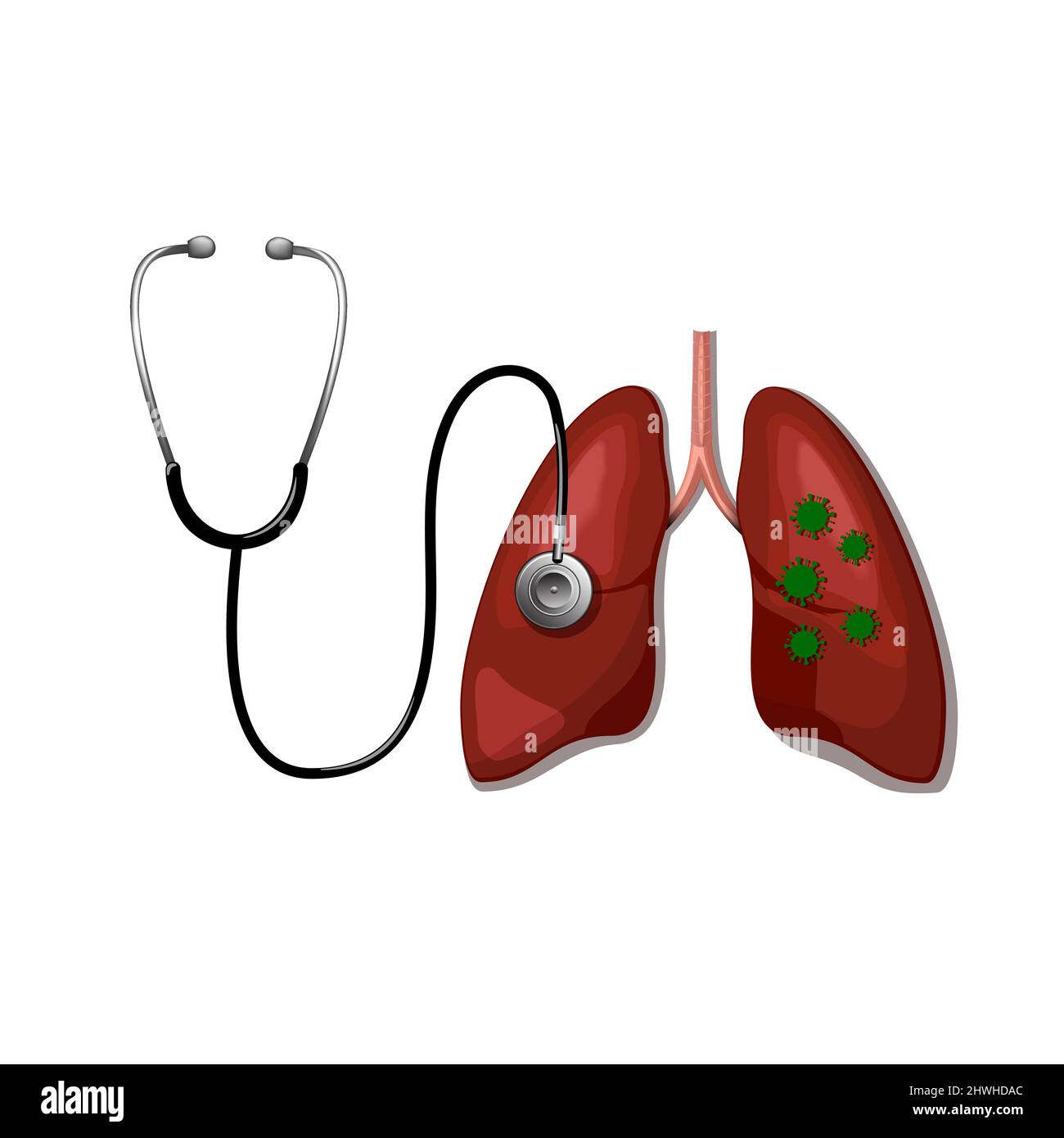 Lung diagnostic test. Respiratory system clip art for medical designs