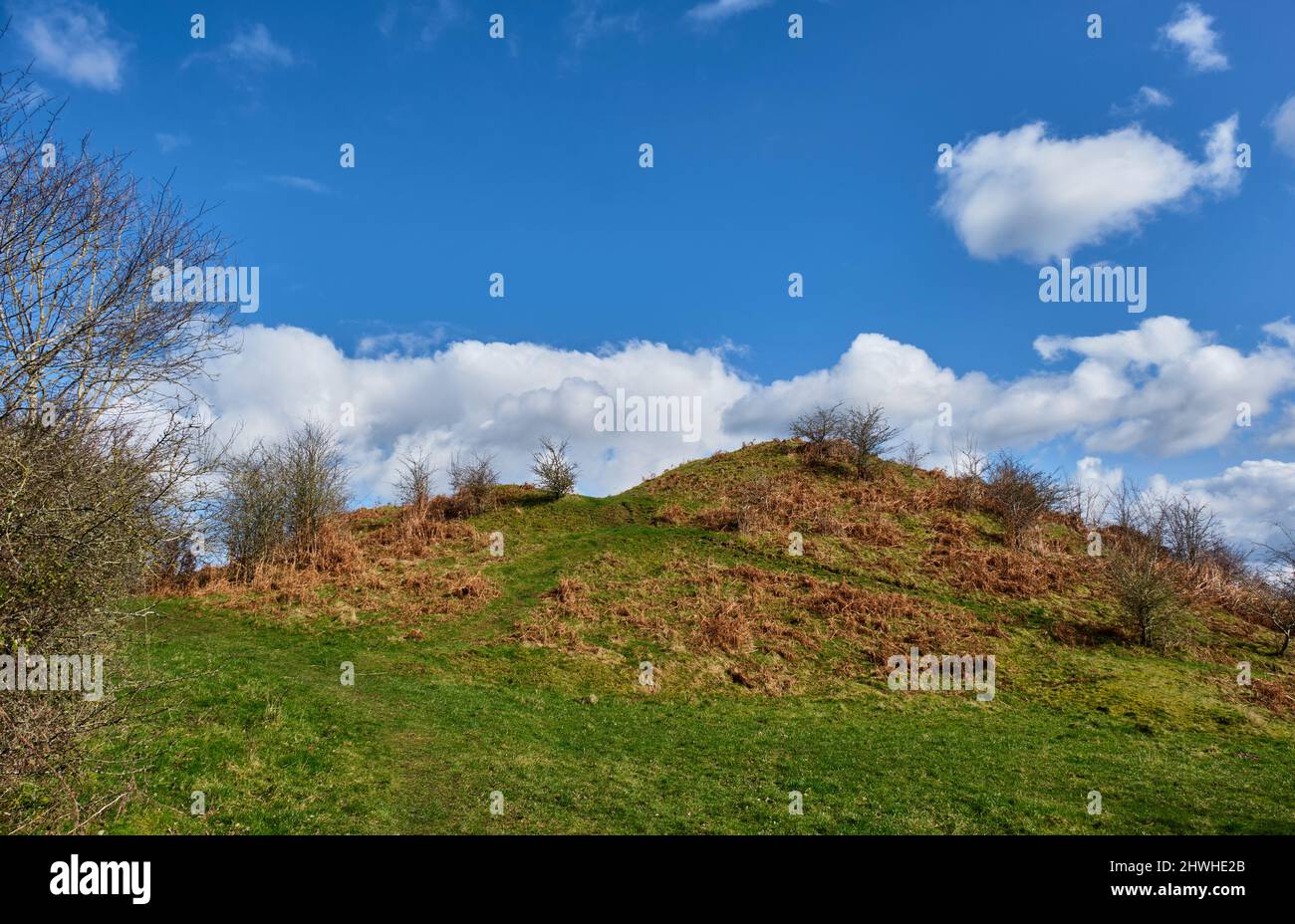 Castle Twts, Motte and Bailey, near Lower Hergest, Kington, Herefordshire Stock Photo