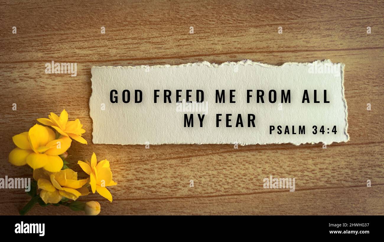 Top view of Bible verse God freed me from all my fear. Yellow flower