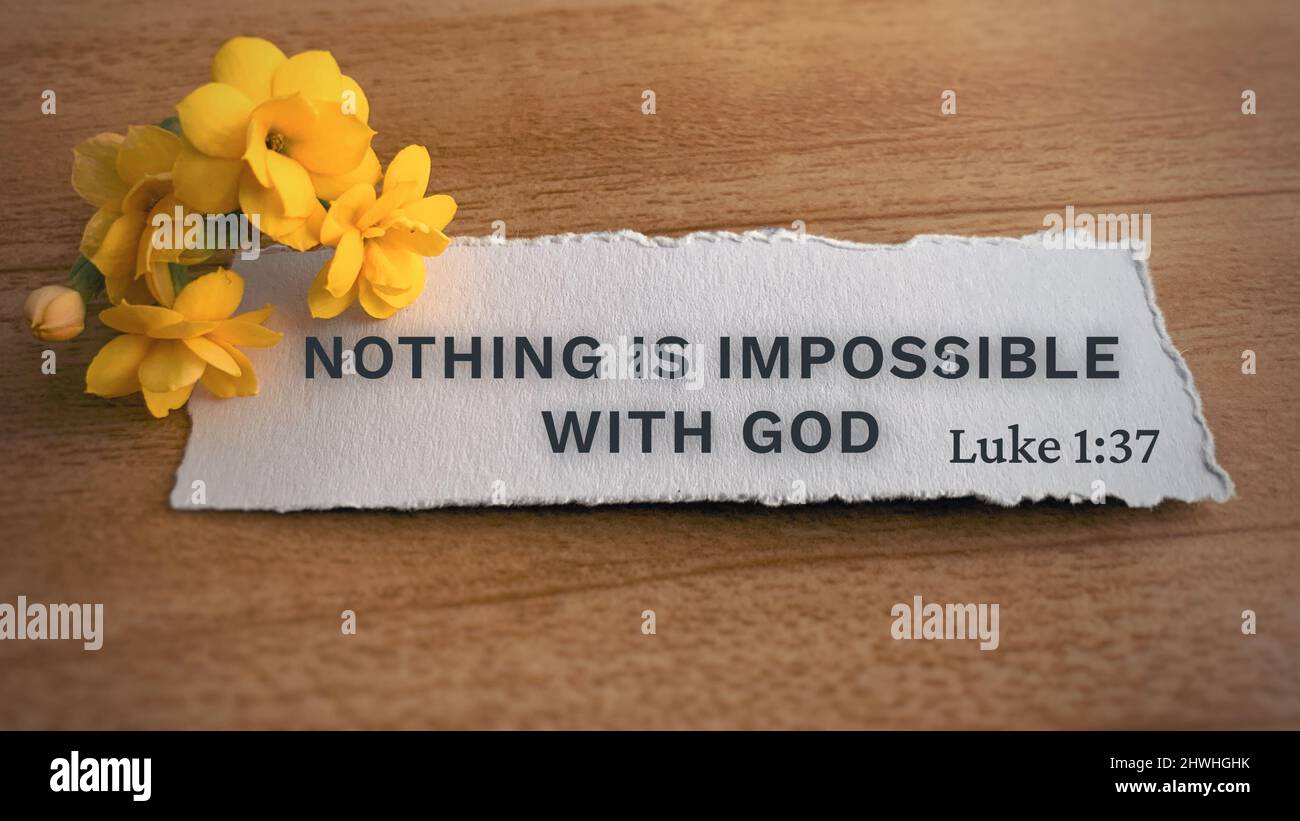 Top view of Bible verse Nothing is impossible with God. Yellow flower and wooden background. Stock Photo