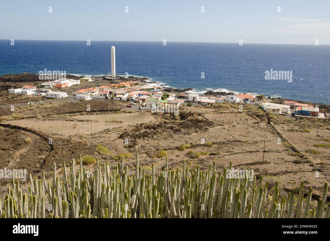 Lighthouse and village of La Salemera with a Canary Island spurge Euphorbia canariensis in the foreground. Mazo. La Palma. Canary Islands. Spain. Stock Photo