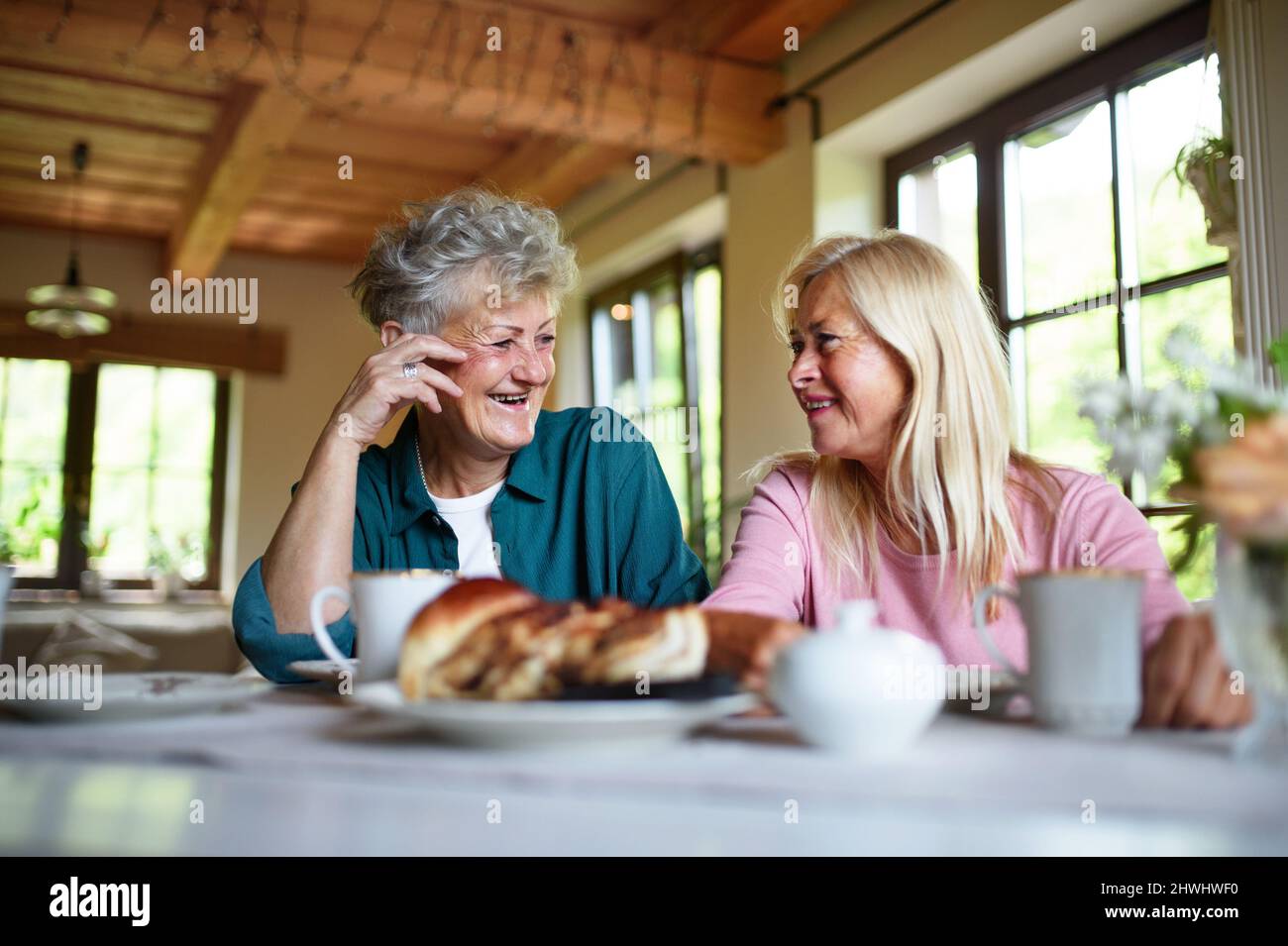 Happy senior friends having coffee and cake and talking indoors at home. Stock Photo