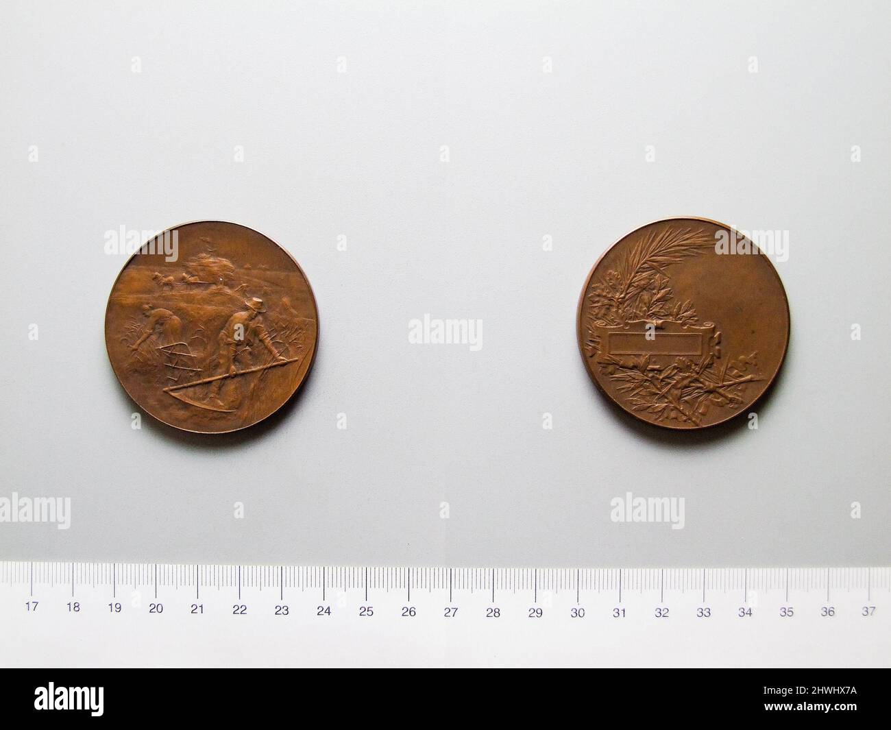 FRANCE / Medal Comice Agricole de l' Arbresle by Alphee Dubois