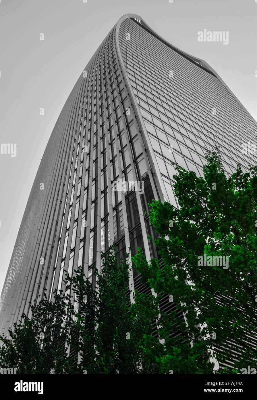 Building skyscraper curve shape line with trees Stock Photo