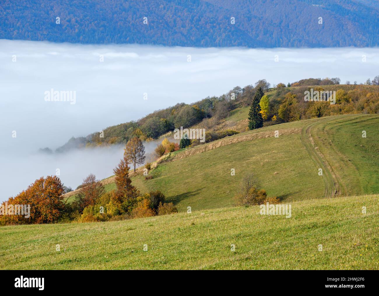Morning foggy clouds in autumn mountain countryside. Ukraine ...