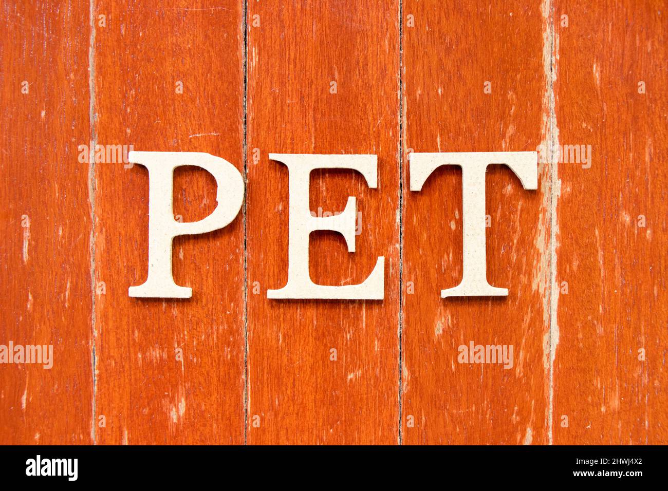Alphabet letter in word PET (animal or abbreviation of polyethylene