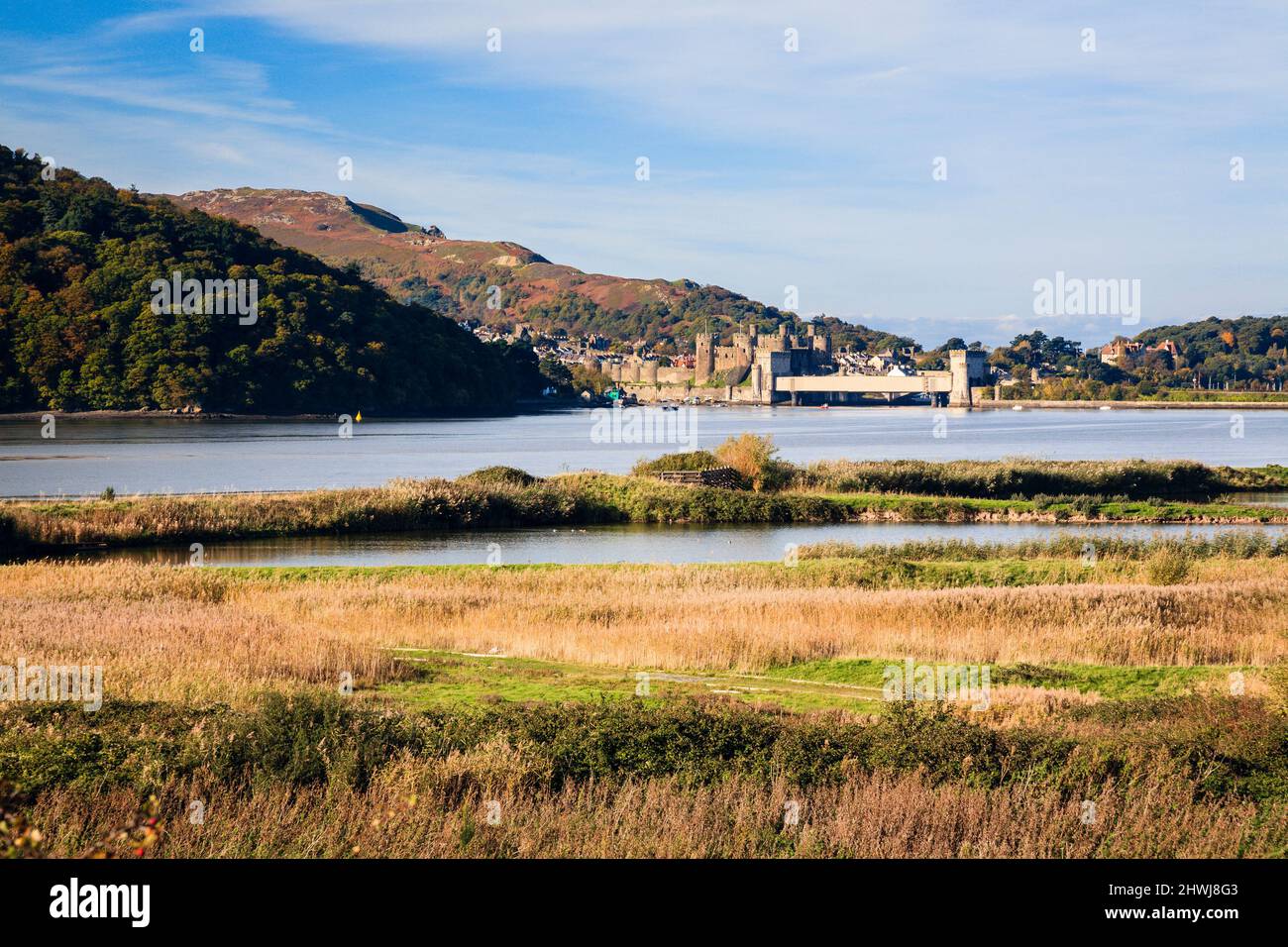 Conwy RSPB Reserve coastal lagoons and grassland habitat beside Conwy River estuary with Conwy Castle and bridge in distance. Llansanffraid Wales UK Stock Photo
