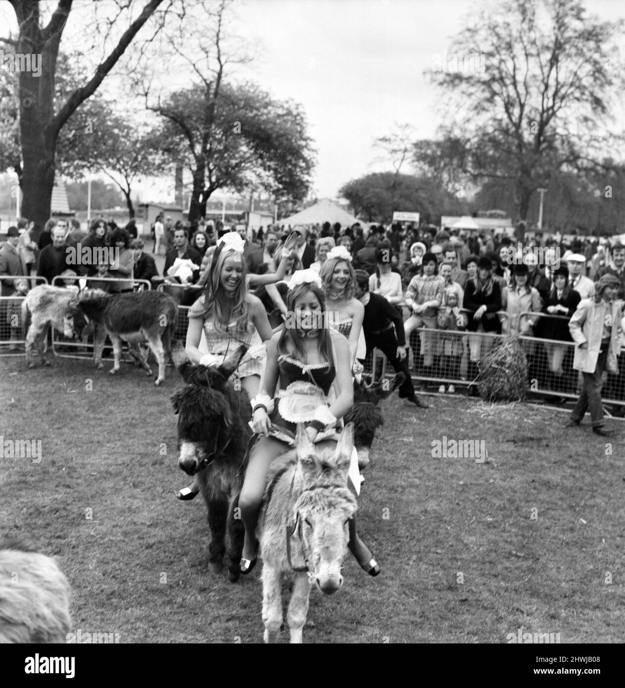 Donkey Derby held for charity at Festival Gardens. April 1972 72-04585-007 Stock Photo