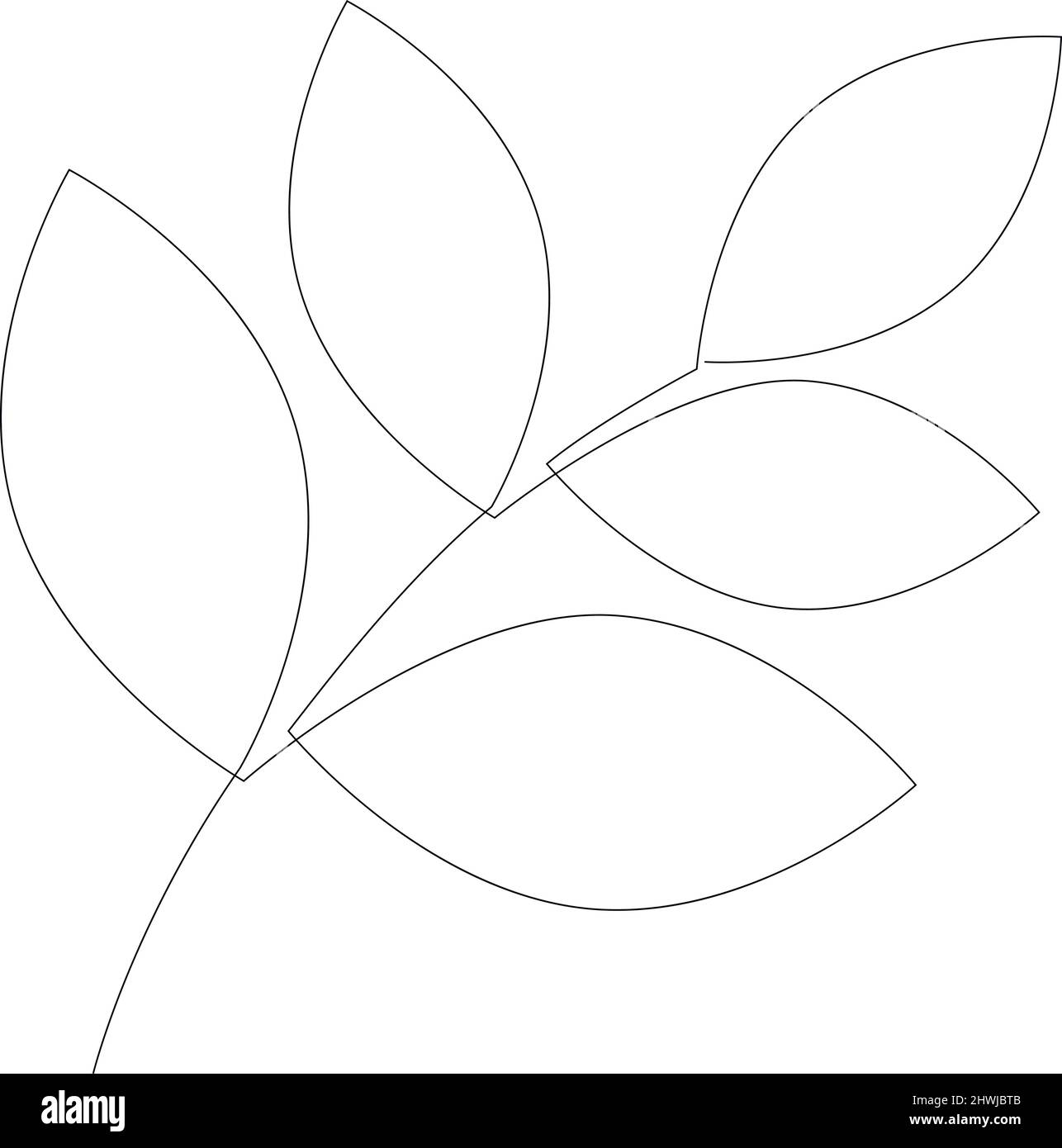 simple-branch-black-and-white-stock-photos-images-alamy