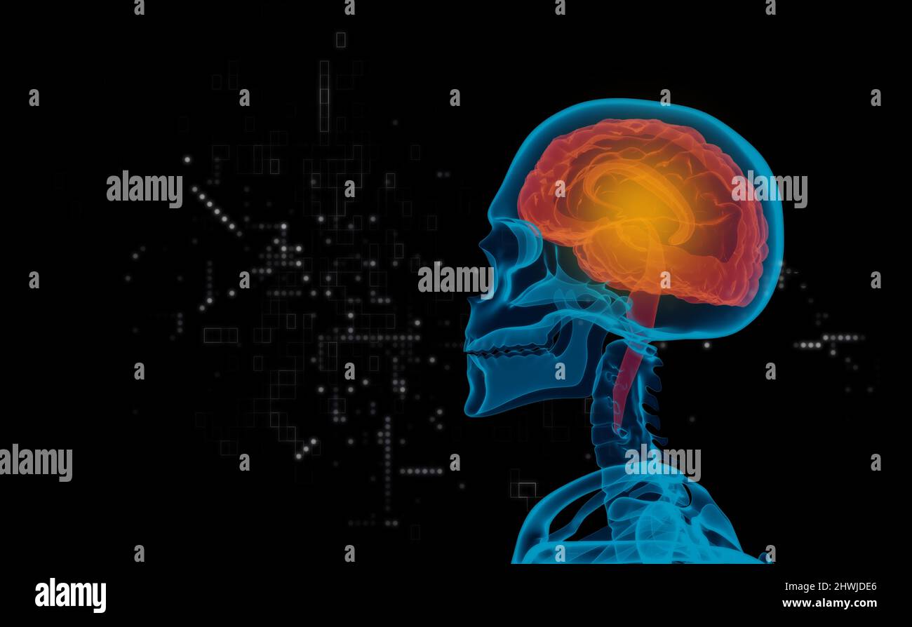 human with brain x-ray on black background, 3d illustration rendering ...