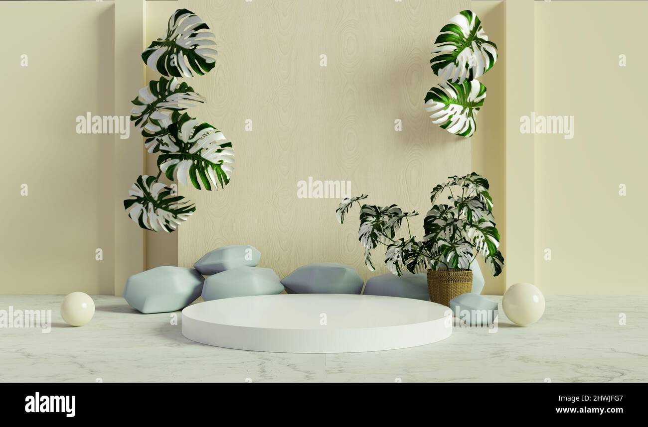 planted aquarium aquascape Aquarium Plant Essentials Bundle main image 0