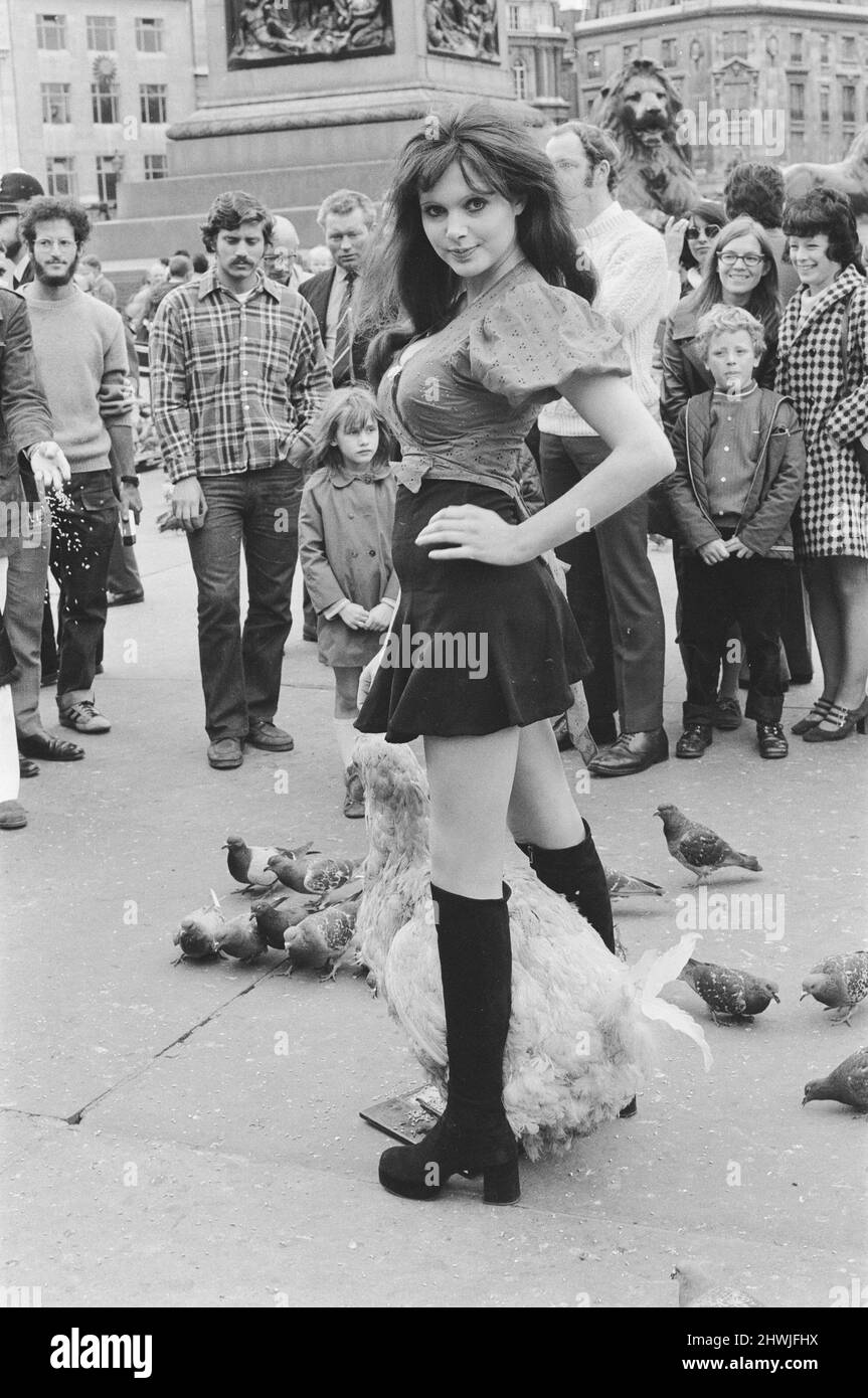 Actress and former model Madeline Smith was forcibly moved on by the law in company with a dodo in a pram in Trafalgar Square. She was advertising a sale of rare, stuffed natural history specimens for a friend who runs the British Natural History Company. Here she is pictured with Digby the Dodo in Trafalgar Square. 24th September 1972.  *** Local Caption *** Maddy Smith Stock Photo
