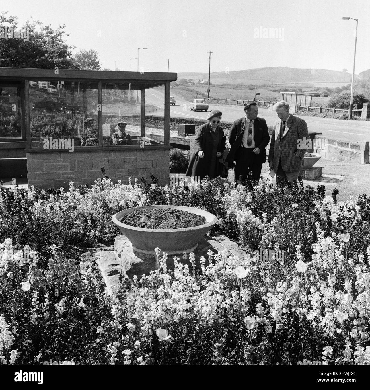 Britain in Bloom judges in Guisborough. 1971 Stock Photo Alamy