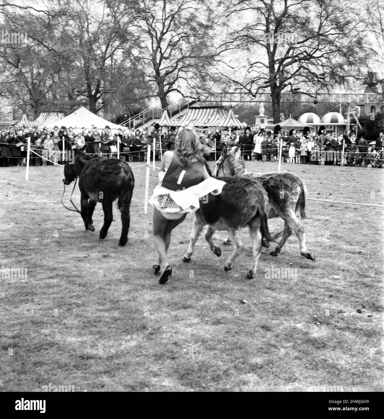 Donkey Derby held for charity at Festival Gardens. April 1972 72-04585-009 Stock Photo