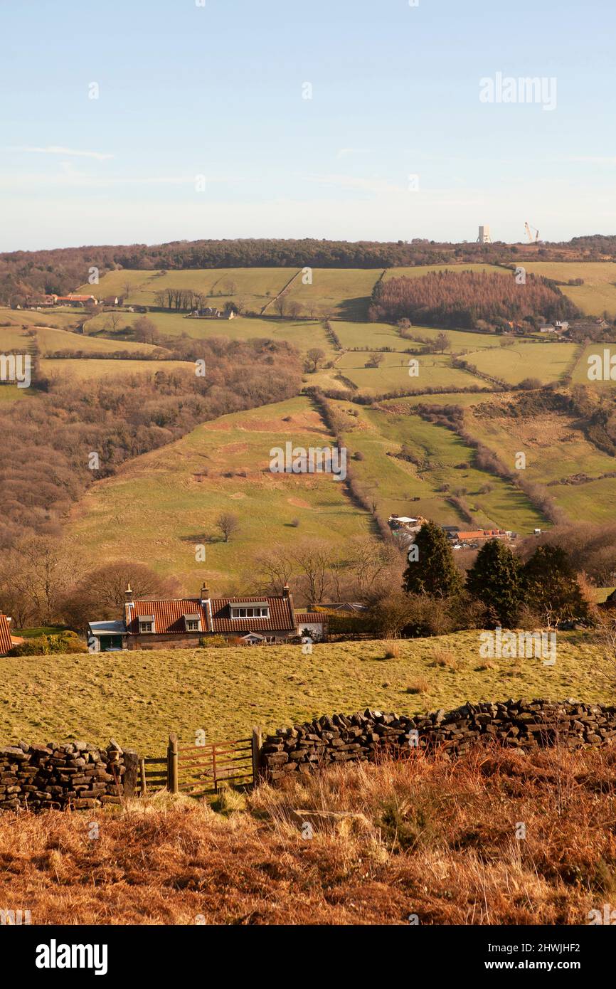 Goathland countryside in the hearth of the North York Moors National
