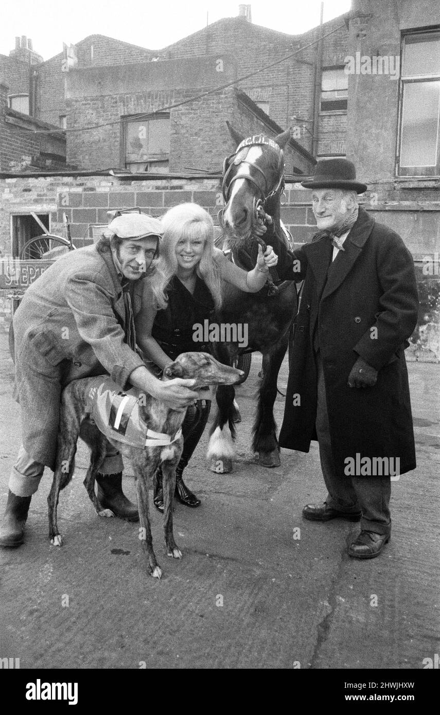 Steptoe and Son photocall to announce that a second feature film of the successful comedy series is to be made.   Called 'Steptoe and Son Ride Again' the film - released 1973 - stars Wildred Brambell as Albert Steptoe, Harry H Corbett as his son Harold Steptoe, and Diana Dors, pictured Thursday 15th February 1973. *** Local Caption *** 15th February 1973 Stock Photo