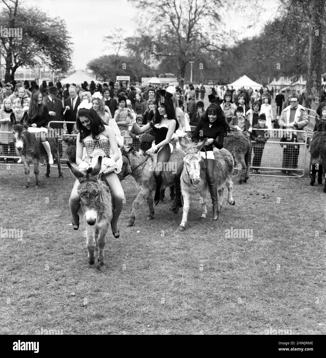 Donkey Derby held for charity at Festival Gardens. Bunny girls and Penthouse pets in a race which was declared as dead heat by the organisers. April 1972 72-04585-005 Stock Photo