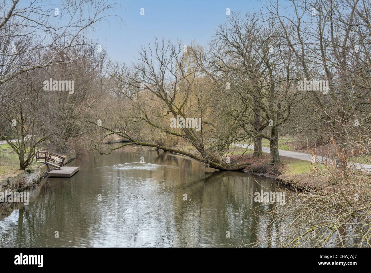 Die Oker im Braunschweiger Bürgerpark, die Uferseiten sind von alten Bäumen gesäumt , Grünstreifen verlaufen neben dem Fluss. Auch ein Bootsanleger ... Stock Photo