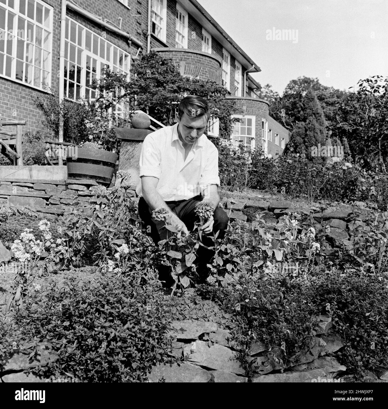 The gardener at the Tall Trees Hotel and in Yarm. 1971 Stock