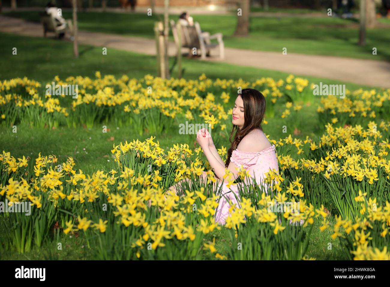 London, UK. 6th Mar, 2022. A lady sits amongst the daffodils enjoying the spring sunshine in St James Park, London Credit: Paul Brown/Alamy Live News Stock Photo