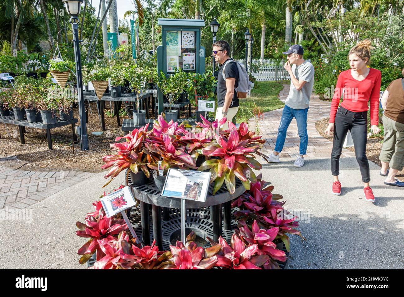 Plants display sale bromeliads garden shop hires stock photography and