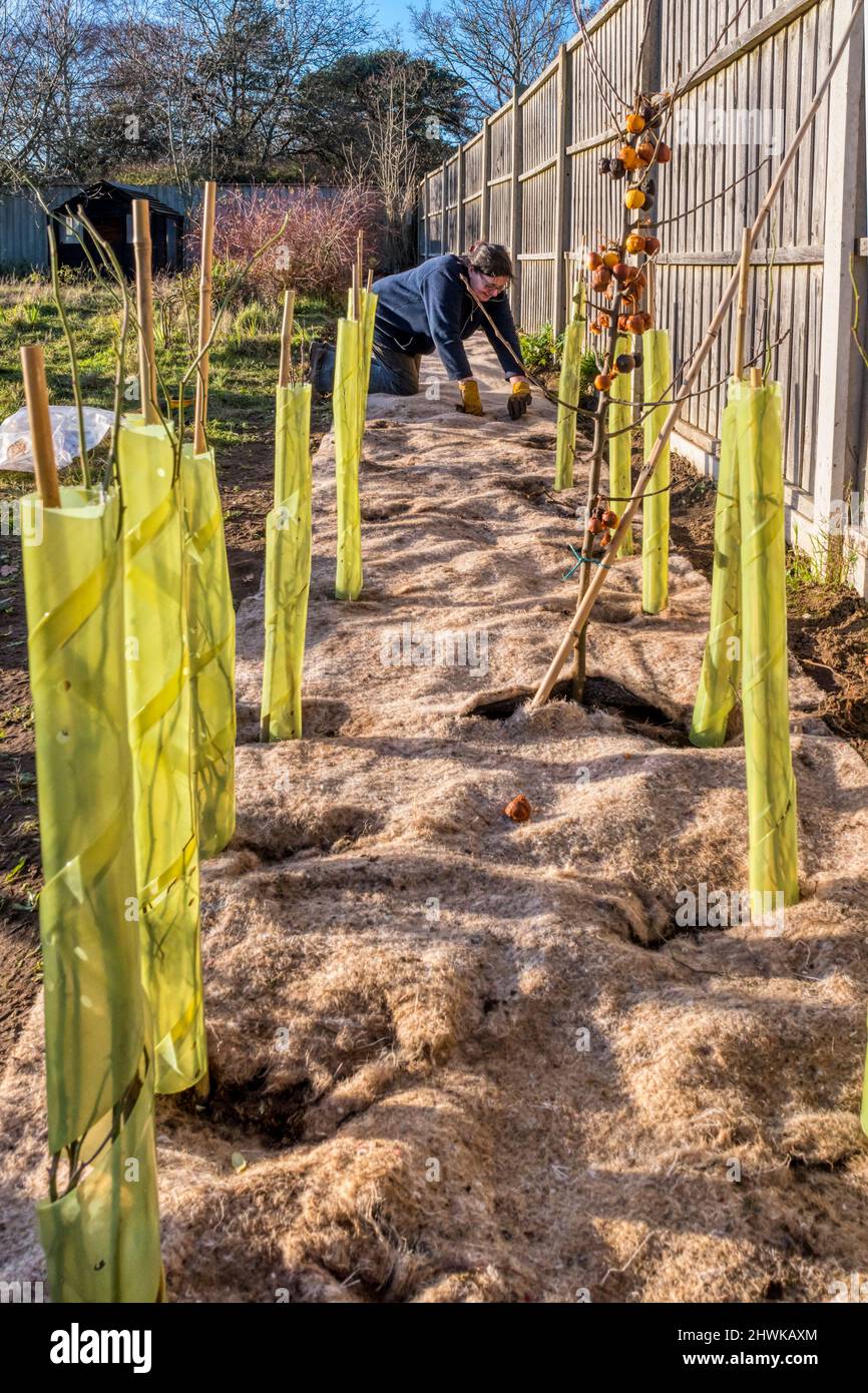 Biodegradable weed mat hires stock photography and images Alamy
