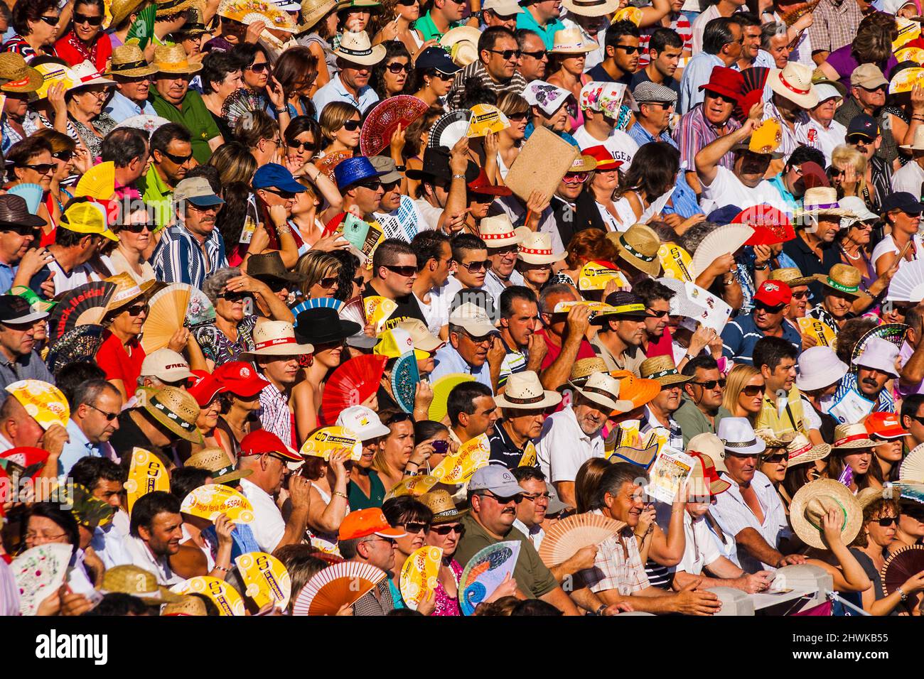 Bullfighting crowd, Spain Stock Photo