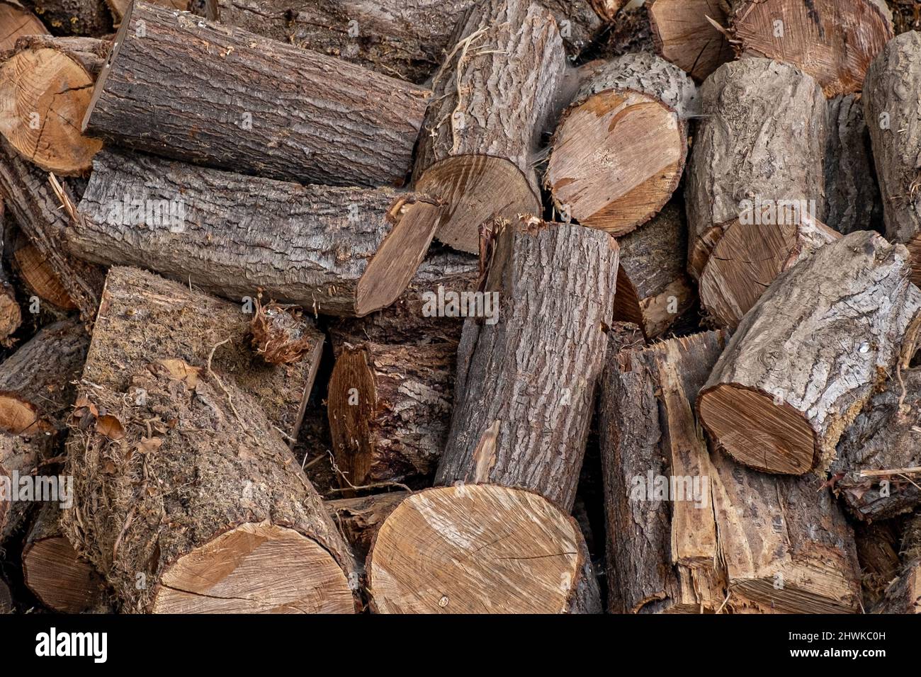 Background of split tree trunks from pruning Stock Photo - Alamy