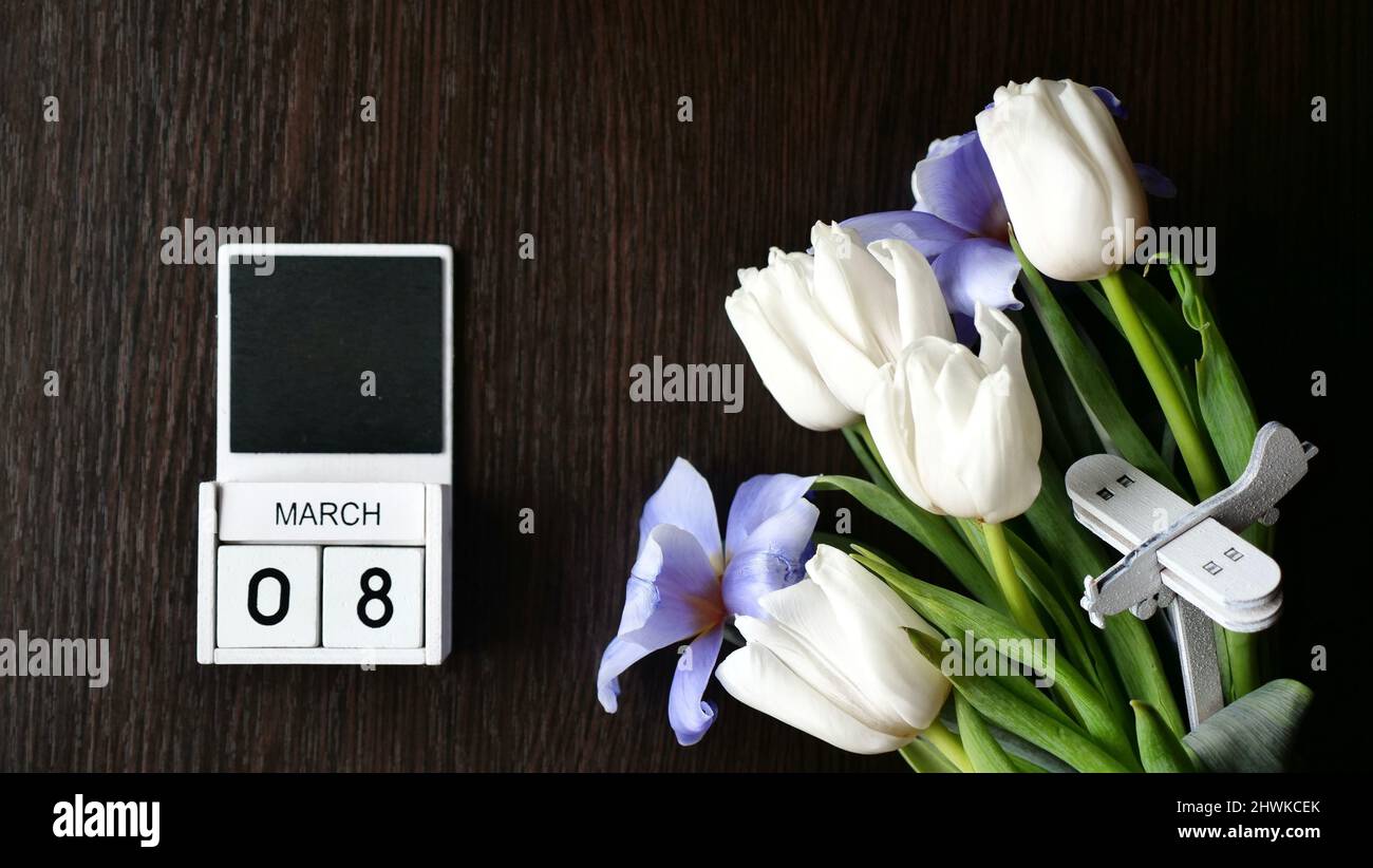 International Women's Day is March 8 on the calendar. Spring flowers tulips - white and blue. insert text Stock Photo
