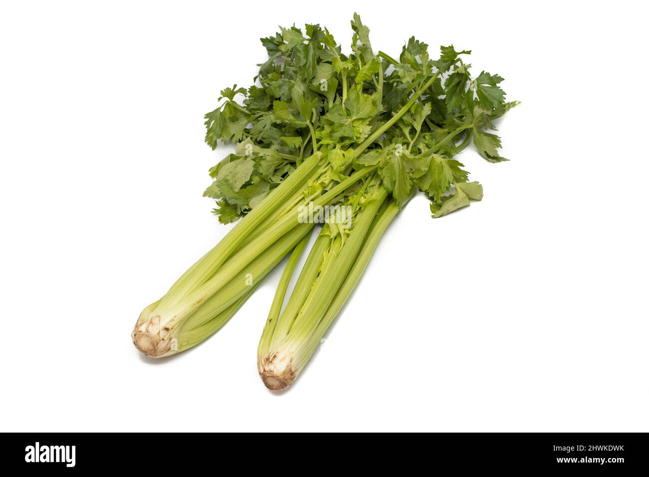 Bunch celery hires stock photography and images Alamy