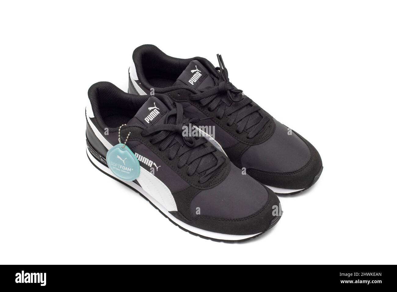 Black puma hi-res stock photography and images - Alamy