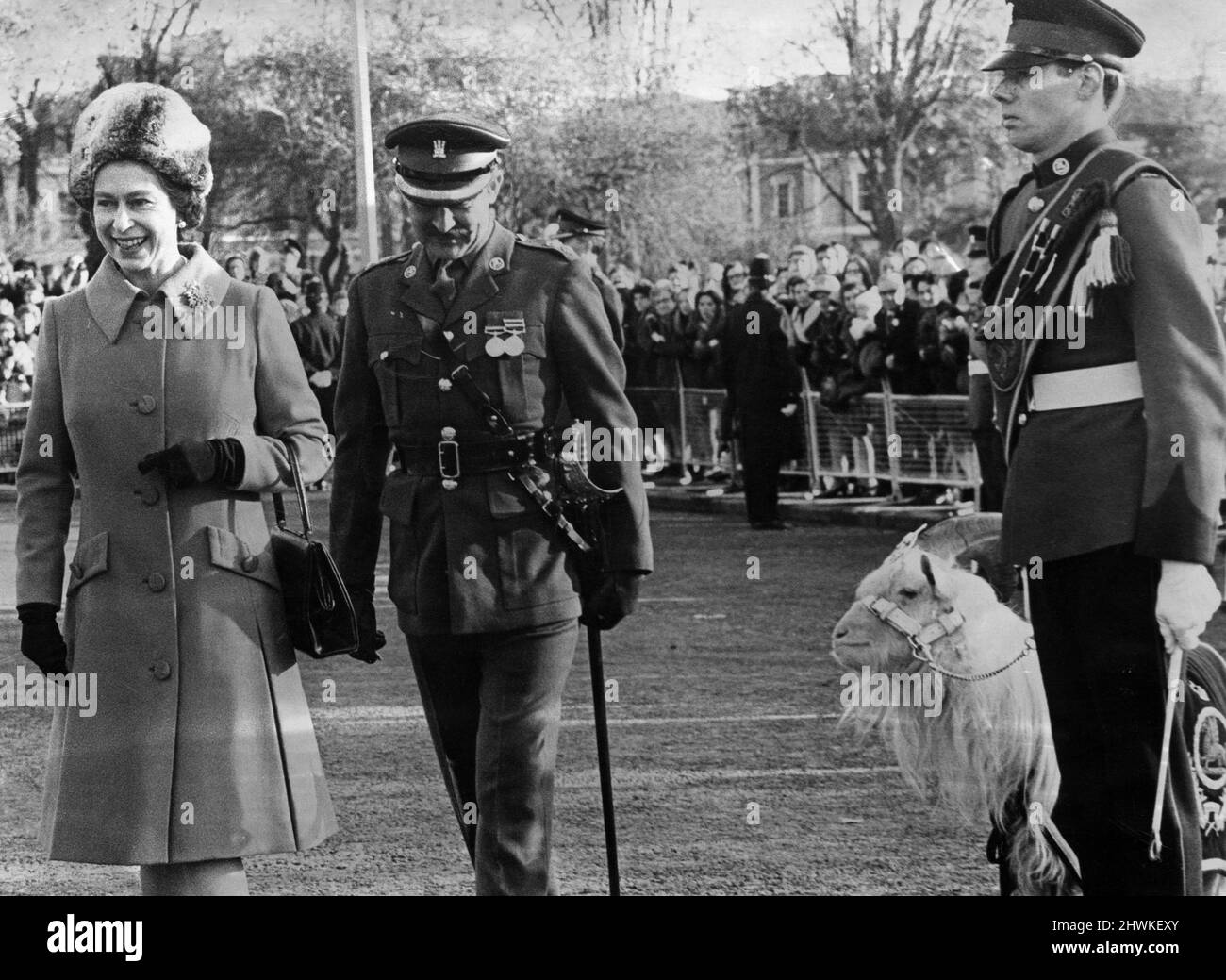 Dewi, regimental mascot of the 3rd (V) Battalion, Royal Regiment of Wales, is on his nest behaviour as Queen Elizabeth II completes her inpection, accompanied by Liut-Col. B. M Pim, Commander of the Cardiff Garrison. 19th November 1971. Stock Photo