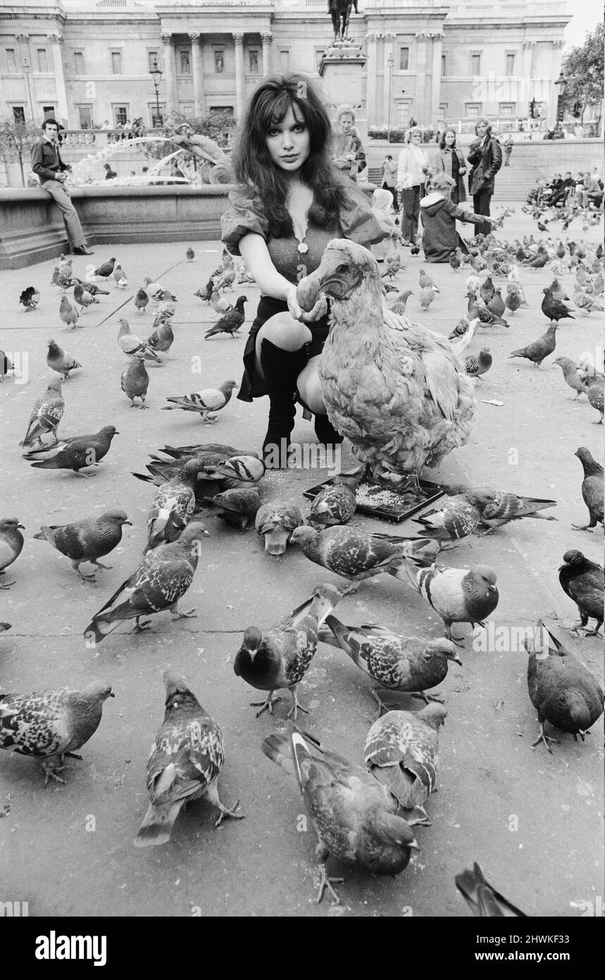 Actress and former model Madeline Smith was forcibly moved on by the law in company with a dodo in a pram in Trafalgar Square. She was advertising a sale of rare, stuffed natural history specimens for a friend who runs the British Natural History Company. Here she is pictured with Digby the Dodo in Trafalgar Square feeding the pigeons. 24th September 1972.  *** Local Caption *** Maddy Smith Stock Photo