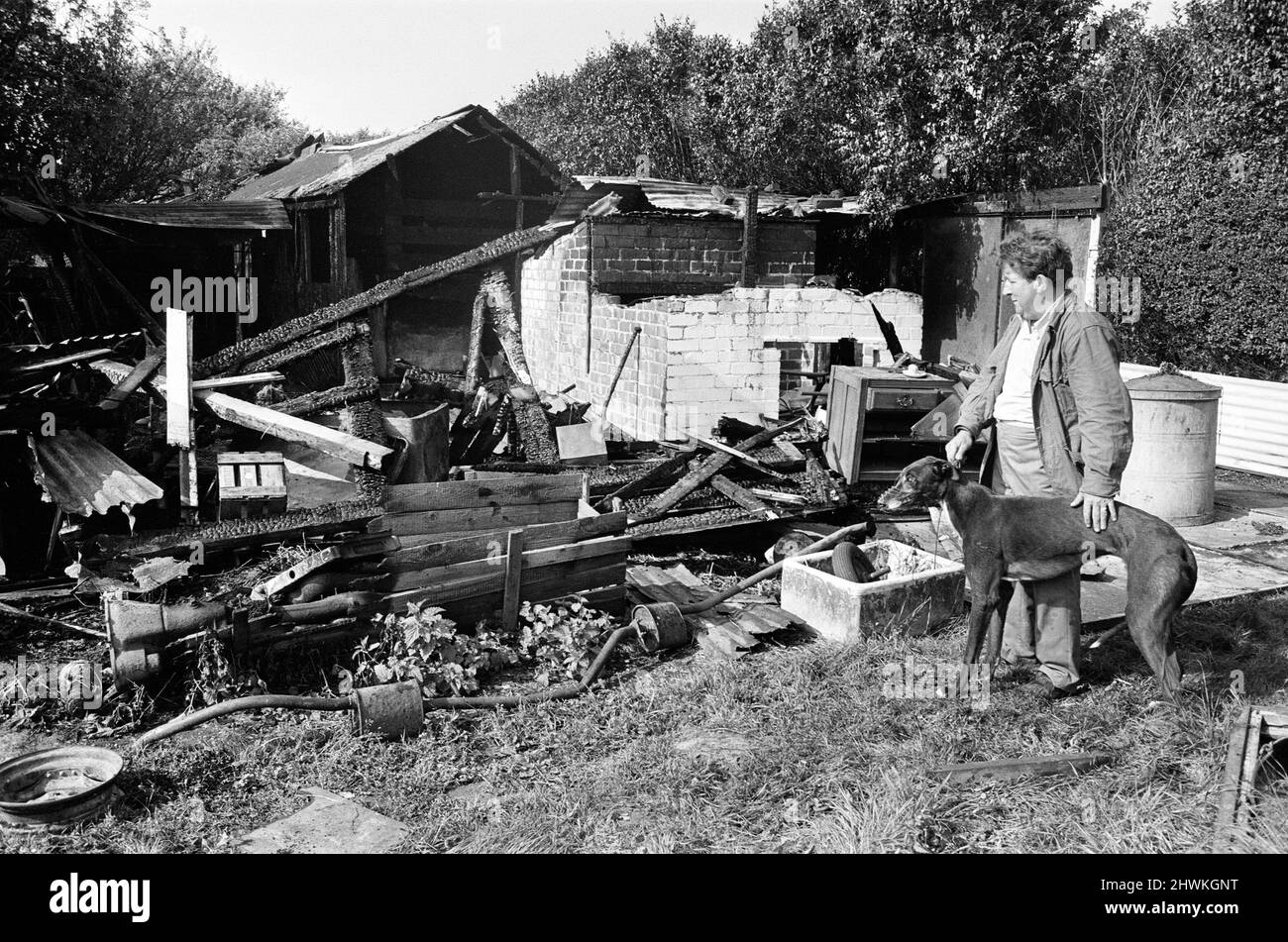Lee, with a rescued greyhound, looking at the damage caused by