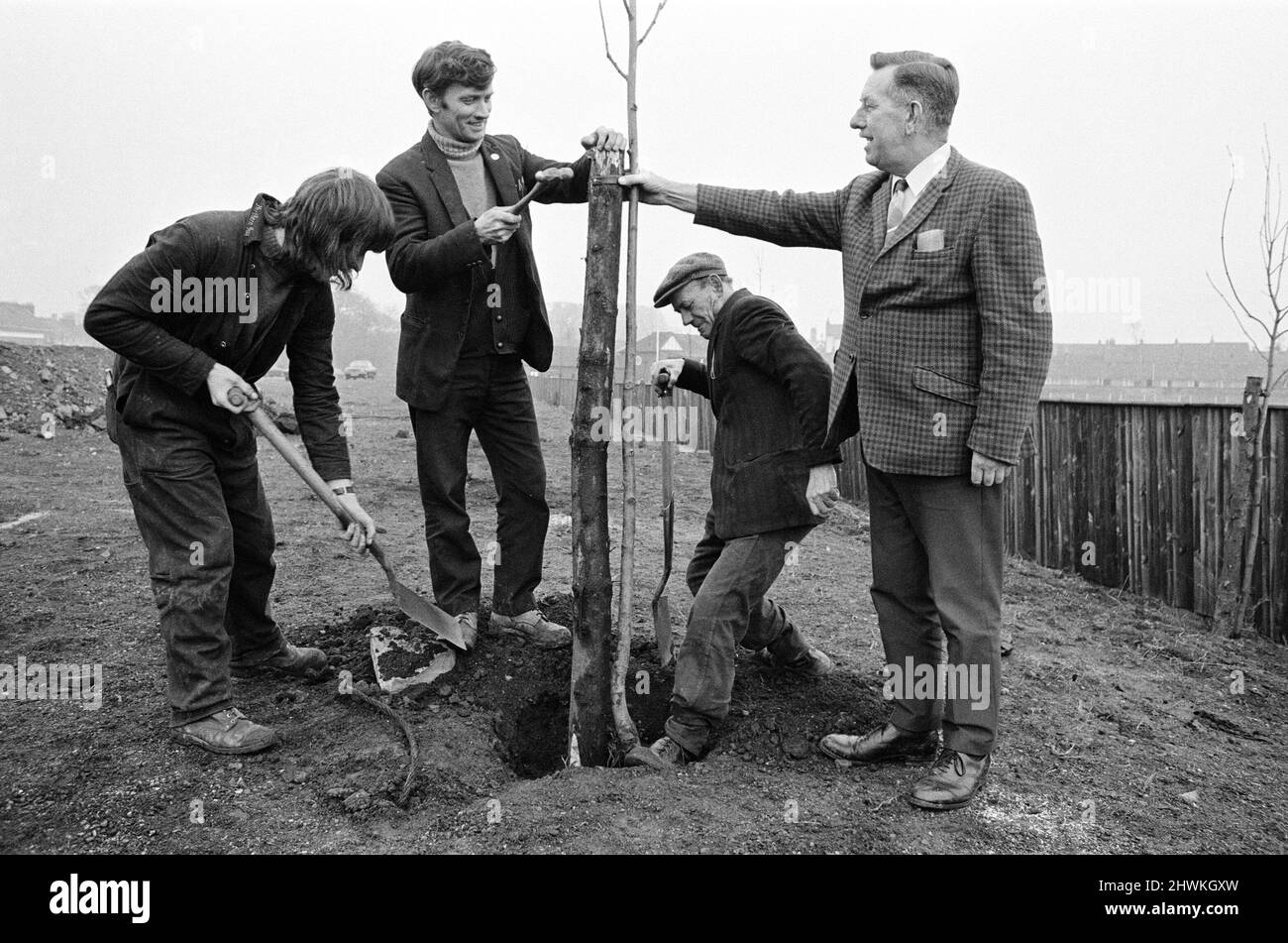 Tree planting at Guisborough. 1973 Stock Photo