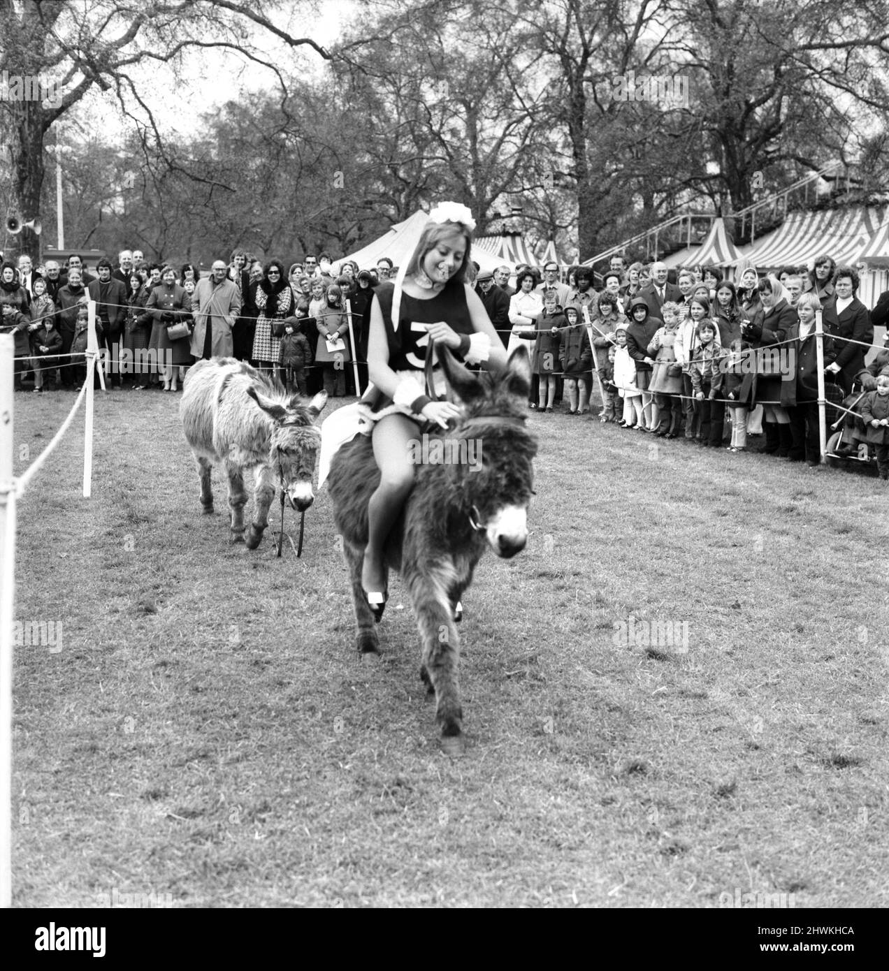 Donkey Derby held for charity at Festival Gardens. April 1972 72-04585-002 Stock Photo