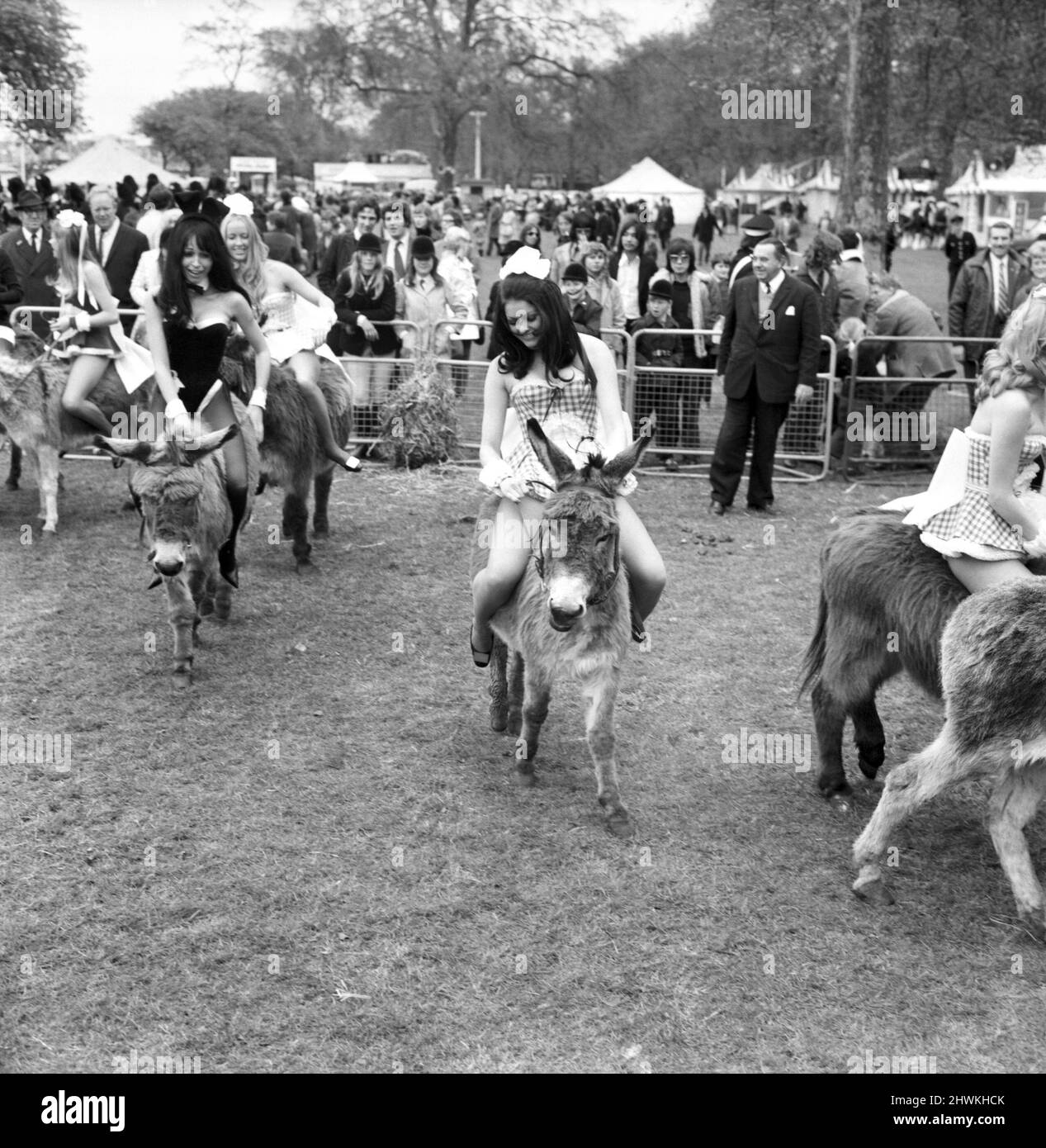 Donkey Derby held for charity at Festival Gardens. April 1972 72-04585-001 Stock Photo