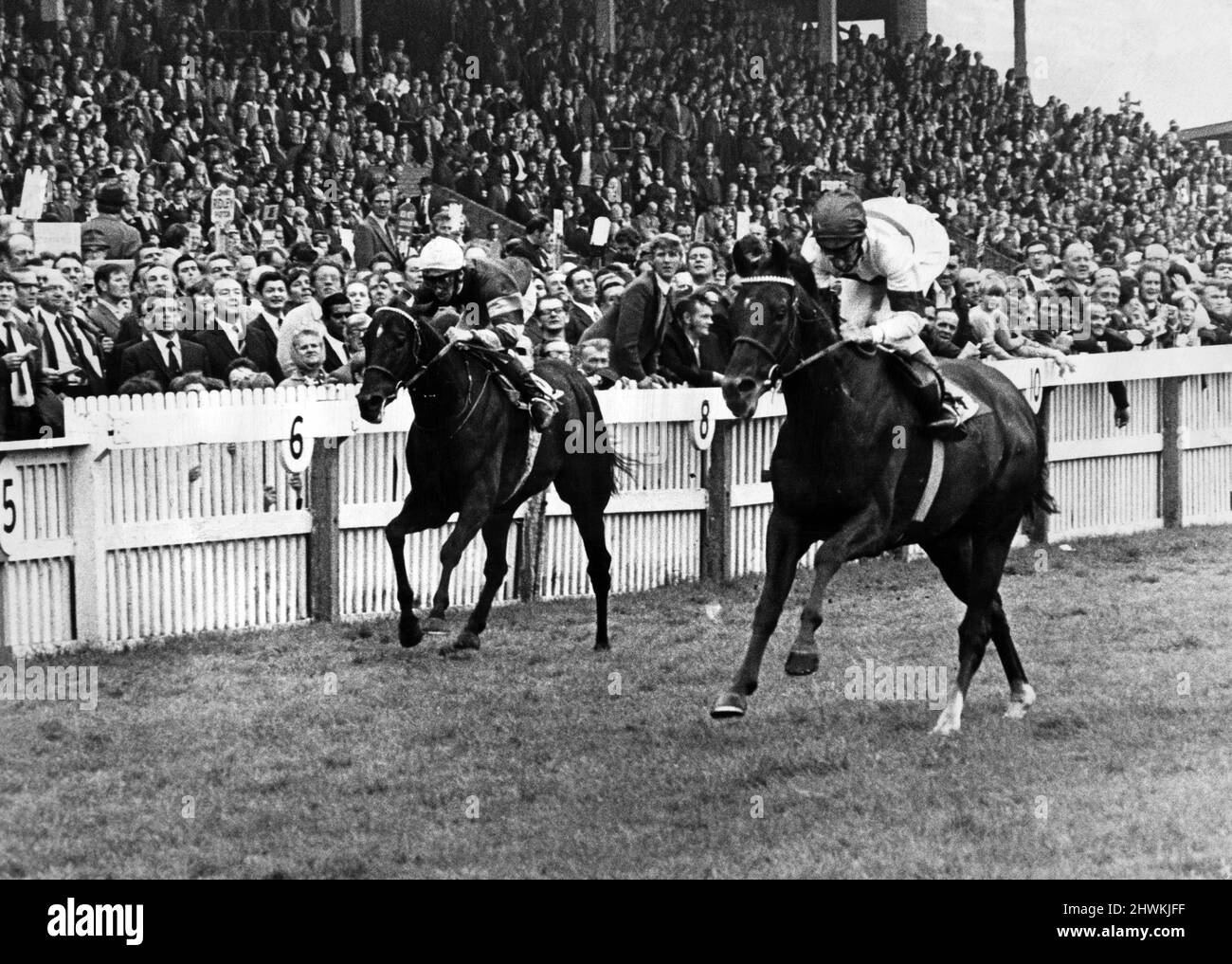 Redcar Racecourse is a thoroughbred horse racing venue located in Redcar, North Yorkshire. Royal Prerogative ridden by Lester Piggott, wins the William Hill Gold Cup at Redcar. Second was Dawn Review (left), ridden by Edward Hide, 11th August 1973. Stock Photo