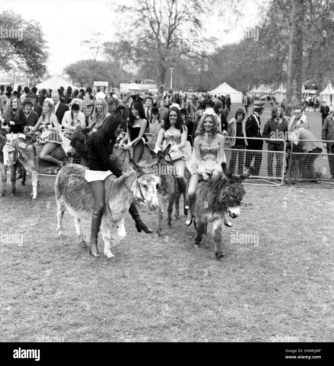 Donkey Derby held for charity at Festival Gardens. Bunny girls and Penthouse pets in a race which was declared as dead heat by the organisers. April 1972 72-04585-006 Stock Photo
