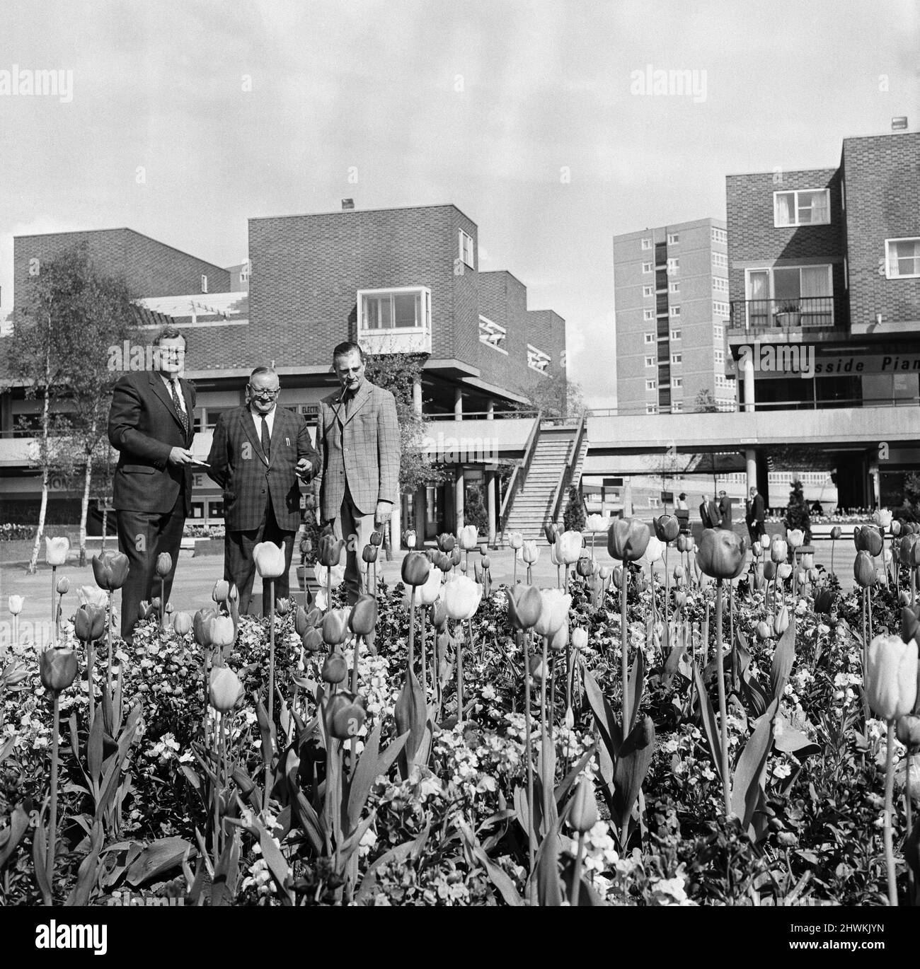 Thornaby on tees Black and White Stock Photos & Images Alamy