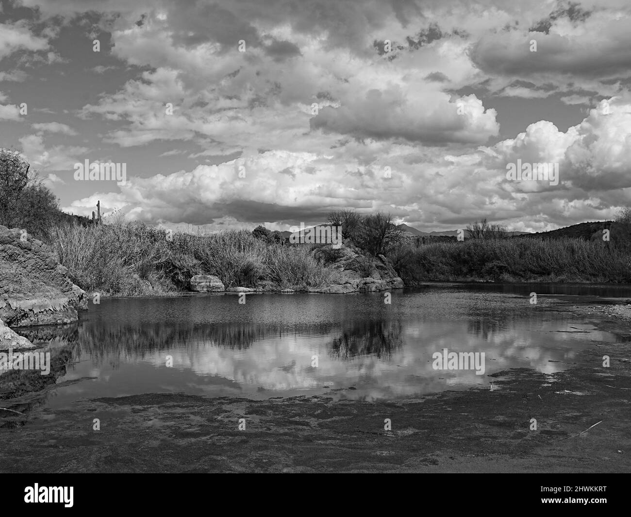 Arizona saguaro rain Black and White Stock Photos & Images - Alamy