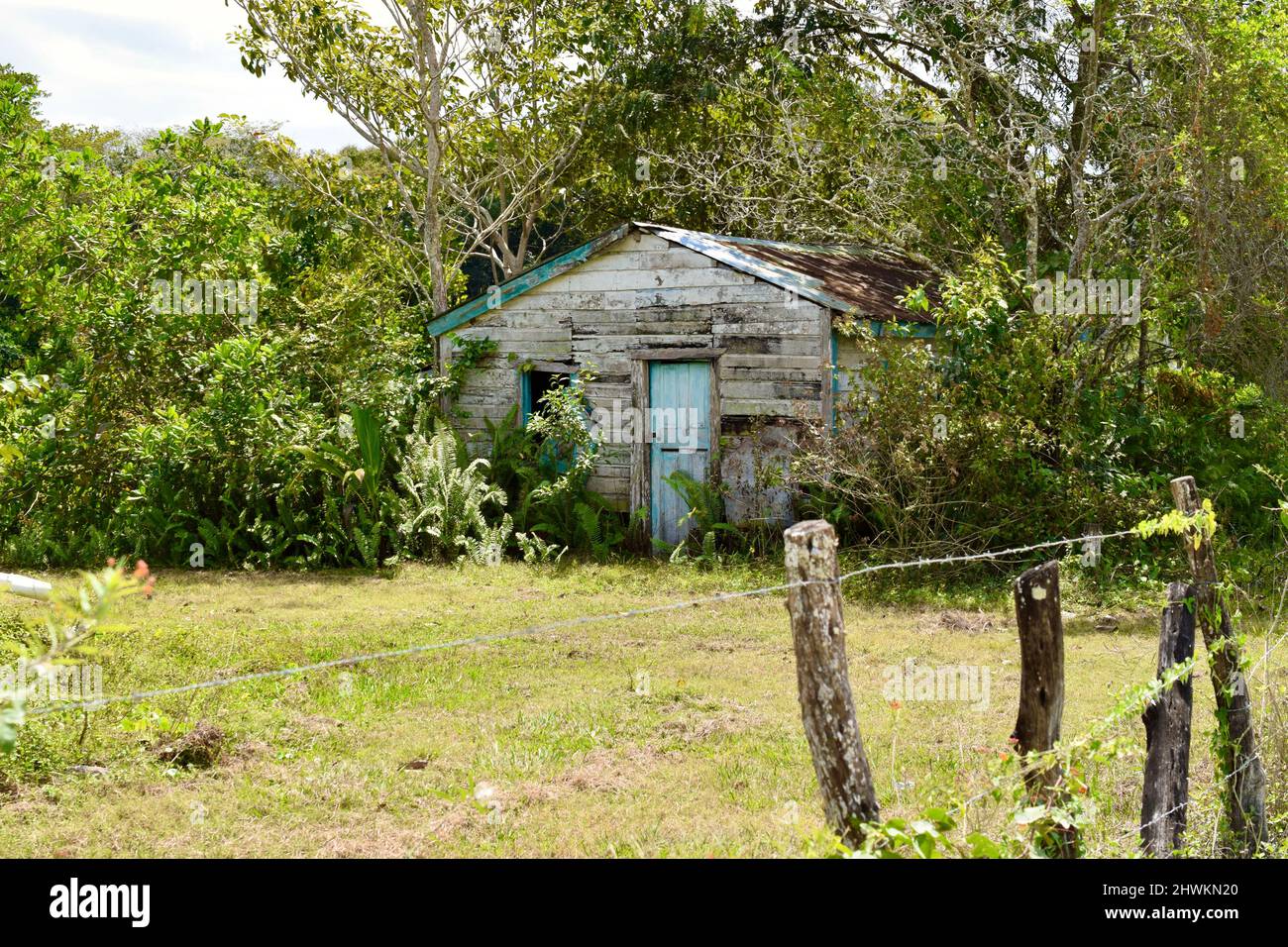 A dilapidated wooden house in the Belizean countryside in the village