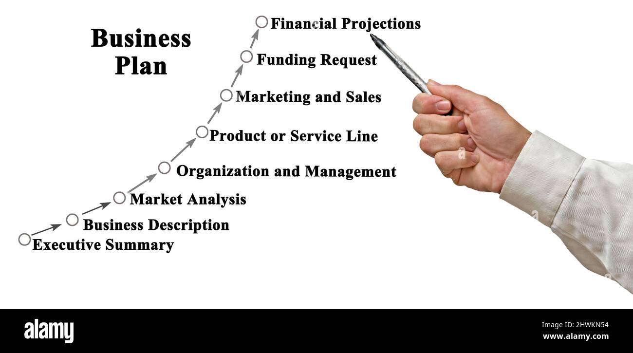 technical definition of business plan