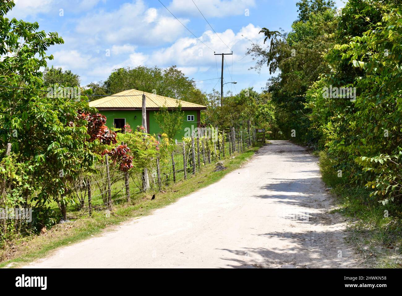 A cute green house next to a road in the village of Crooked Tree