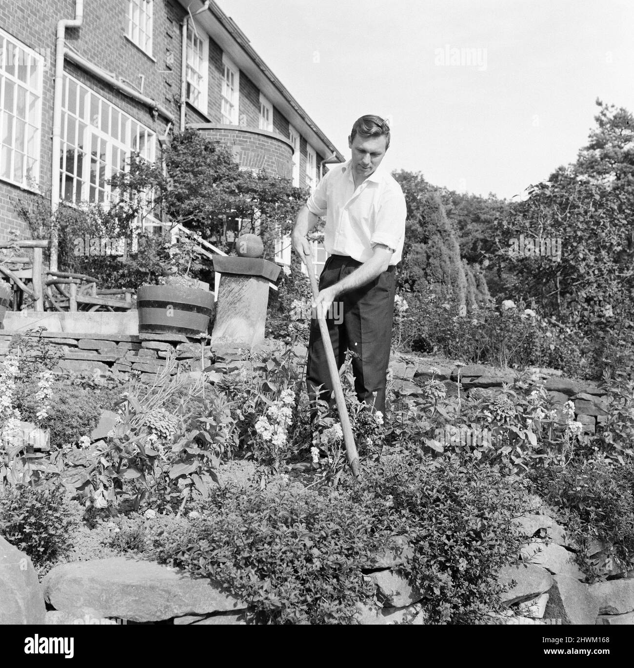 The gardener at the Tall Trees Hotel and in Yarm. 1971 Stock
