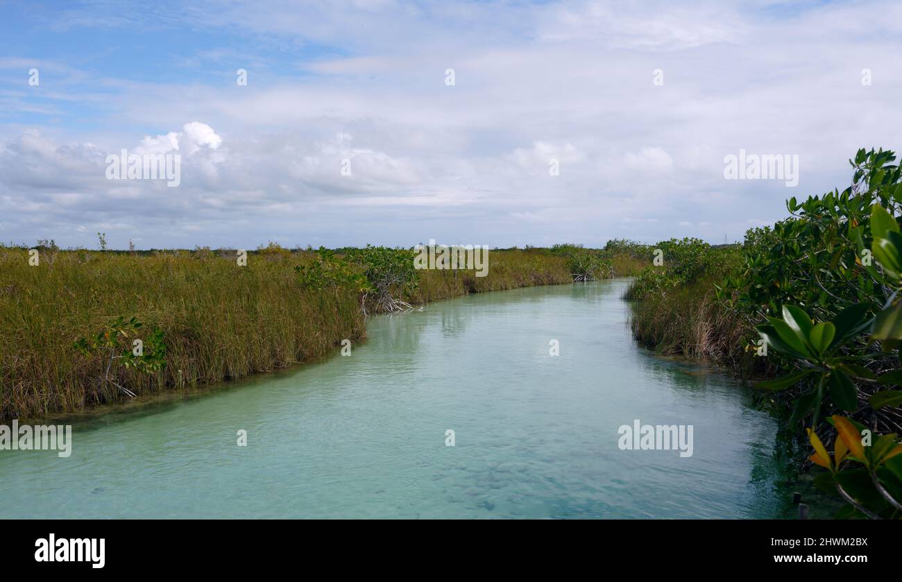 Scenic view of a river Stock Photo