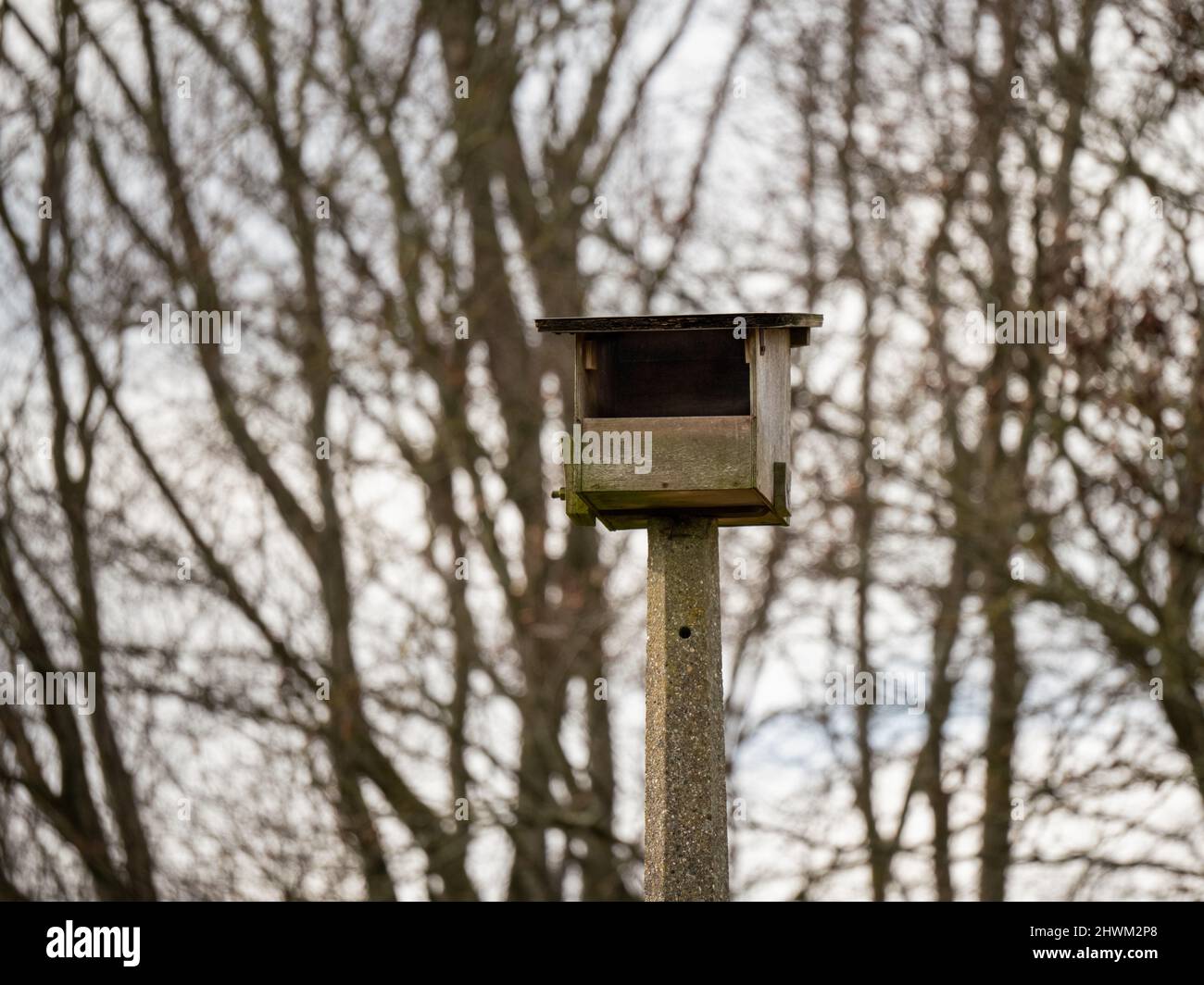 very large nesting box fitted atop an old concrete lamp post suitable ...